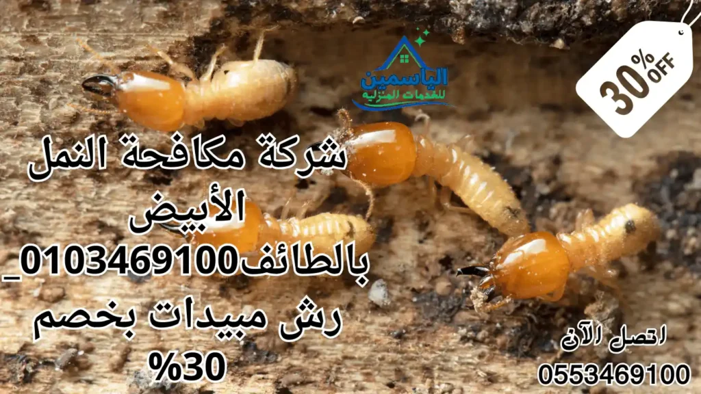 شركة مكافحة النمل الأبيض بالطائف0103469100_رش مبيدات بخصم 30%
